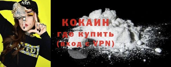 гашик Арсеньев