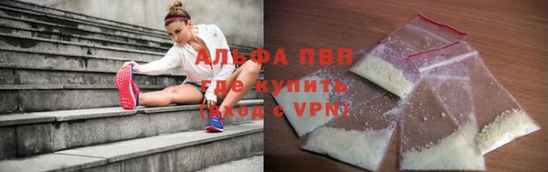 гашик Арсеньев