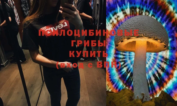гашик Арсеньев