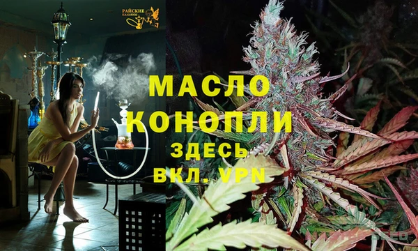 гашик Арсеньев