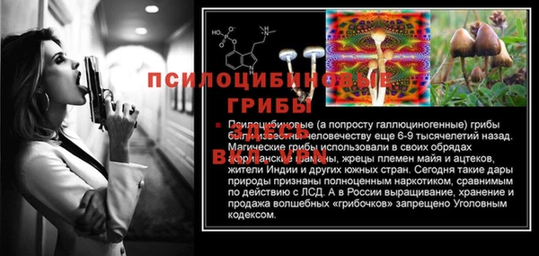 гашик Арсеньев