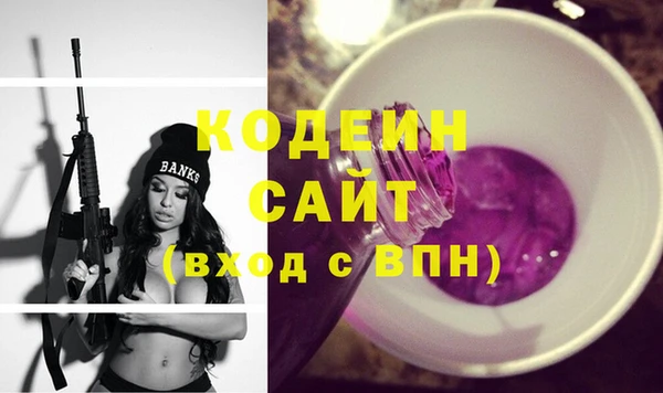 гашик Арсеньев
