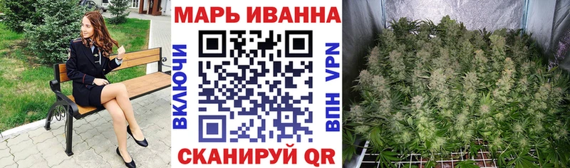 Марихуана SATIVA & INDICA  блэк спрут как зайти  Багратионовск 